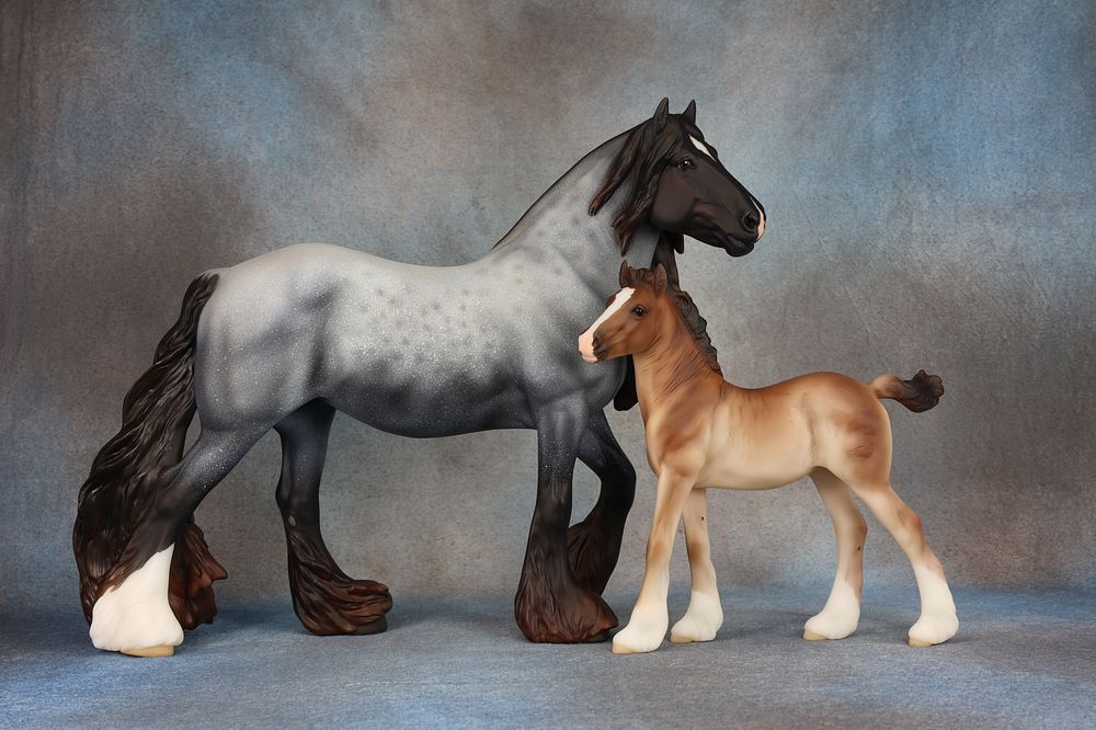 Vanner Mare & Vanner Foal. Vanner Mare &amp; Vanner Foal - 811 (M) &amp; 812 (M) - Another 