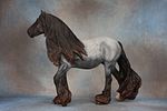 Vanner Mare & Vanner Foal. Vanner Mare &amp; Vanner Foal - 811 (M) &amp; 812 (M) - Another Image - 4