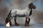Vanner Mare & Vanner Foal. Vanner Mare &amp; Vanner Foal - 811 (M) &amp; 812 (M) - Another Image - 5