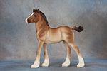 Vanner Mare & Vanner Foal. Vanner Mare &amp; Vanner Foal - 811 (M) &amp; 812 (M) - Another Image - 6