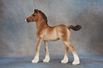 Vanner Mare & Vanner Foal. Vanner Mare &amp; Vanner Foal - 811 (M) &amp; 812 (M) - Another Image - 7