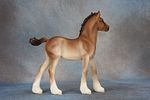 Vanner Mare & Vanner Foal. Vanner Mare &amp; Vanner Foal - 811 (M) &amp; 812 (M) - Another Image - 9