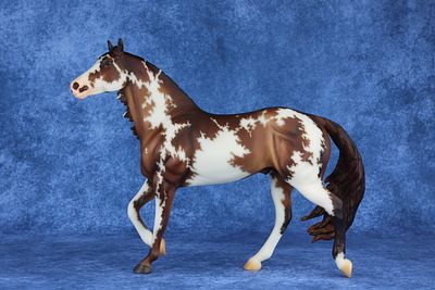 Smart Chic Olena. We're kicking off the Live Auction this year with this gorgeous guy on mold 
