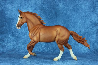 Cedarfarm Wixom. Maybe she was born with it, or maybe it's a modified mane and tail! This 