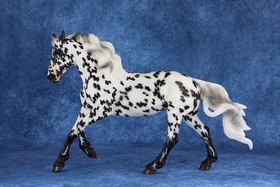 Mustang Mare - Black Leopard Appaloosa. This spotted wonder is the first test model offered on 