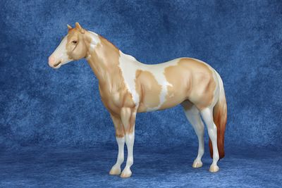 Lady Phase - Pearly Double Dilute Tobiano Pinto. Never ask a lady her age, but in this case Lady 