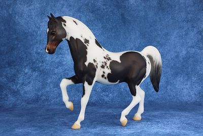 Family Arabian Stallion - Dark Bay Homozygous Tobiano Pinto. Lucky lot #7 is on mold #7, the 
