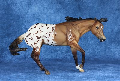 Working Cow Horse/Bobby Jo. Don't want to risk the luck of the draw? You can bring home your 