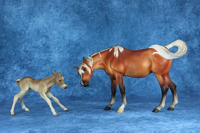 Nuzzling Mare & Newborn Foal / Susecion & Le Fire. What's better than one auction horse? Two 
