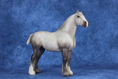 Clydesdale Mare - Saturday Raffle “Pining For the Fjords”. She might be "Pining For the Fjords 