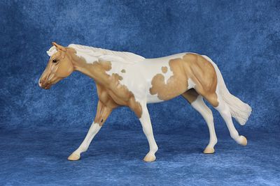 Quarter Horse Mare - Roxy -Chalky Dapple Palomino Tobiano. Roxy rocks palomino! This elegant 