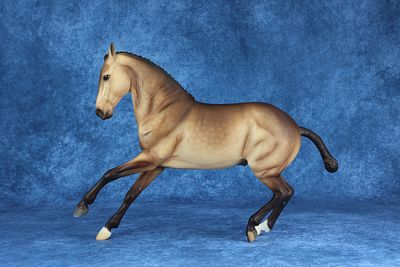 Criollo - Dapple Sooty Buckskin with Modified Mane/Tail. This is the first test piece offered on 
