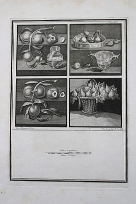 Giovanni Morghen - Antiquities of Herculaneum engraving 1752. This original antique copperplate 