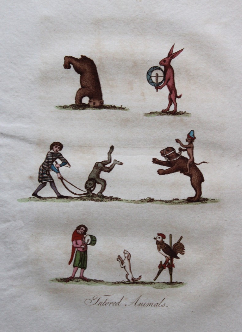 Joseph Strutt - Tutored Animals 1801