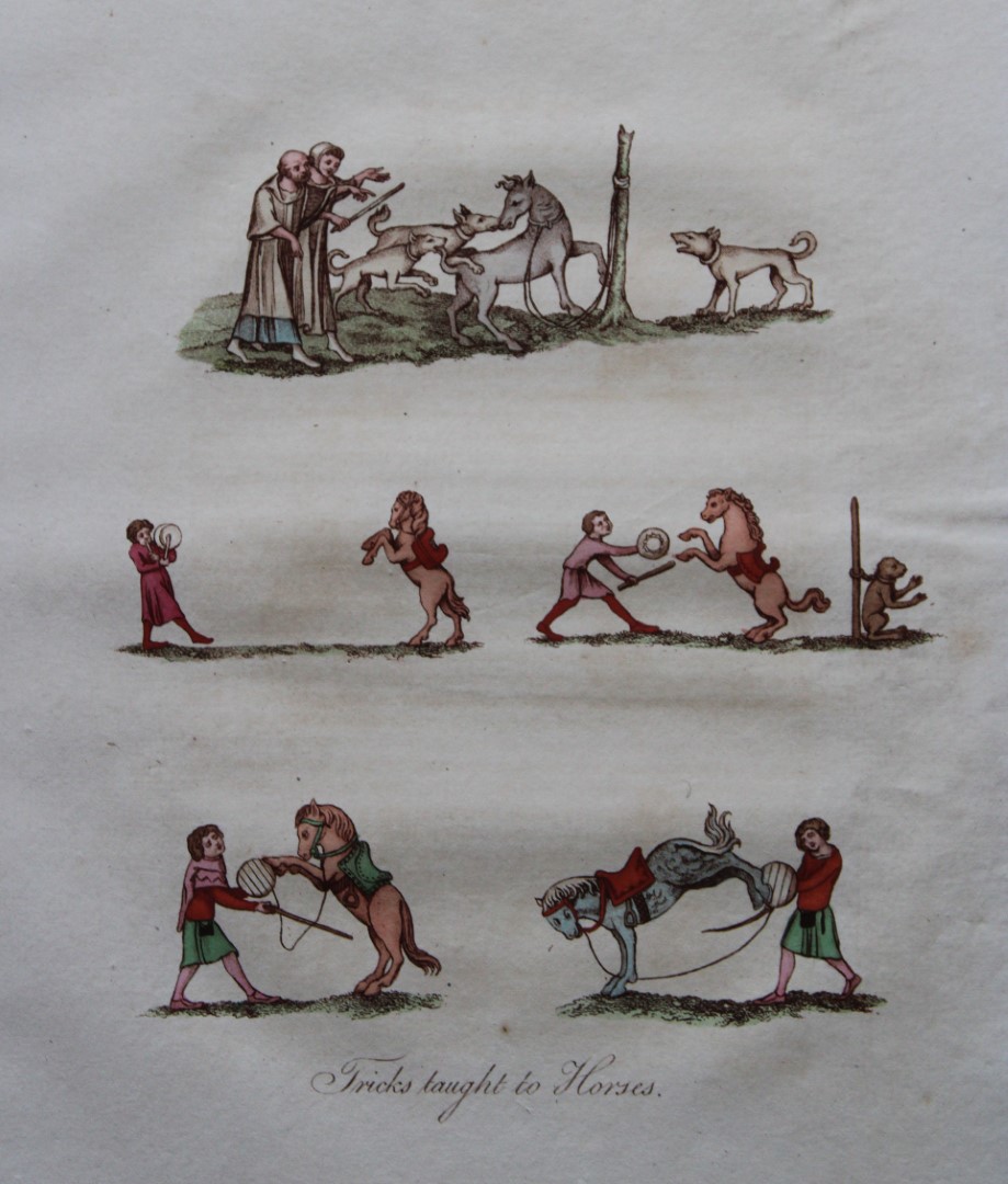 Joseph Strutt - Tutored Animals 1801
