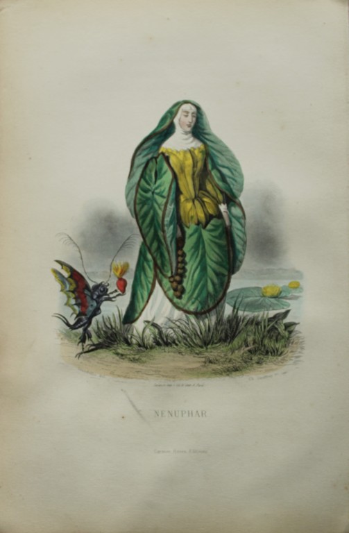 JJ Grandville - Lithograph of Les Fleurs Animees 1846