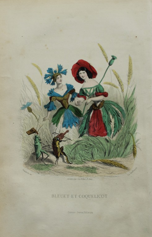 JJ Grandville - Lithograph of Les Fleurs Animees 1846