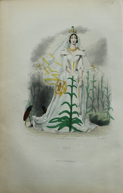 JJ Grandville - Lithograph of Les Fleurs Animees 1846