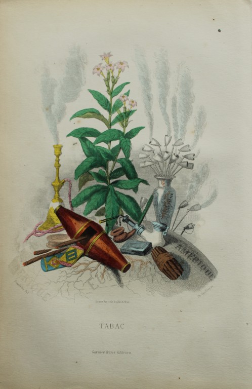 JJ Grandville - Lithograph of Les Fleurs Animees 1846