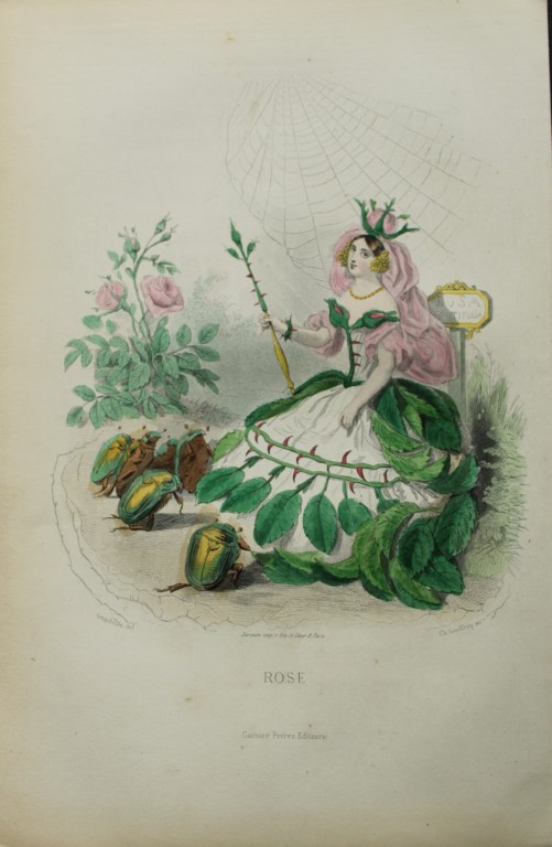 JJ Grandville - Lithograph of Les Fleurs Animees 1846