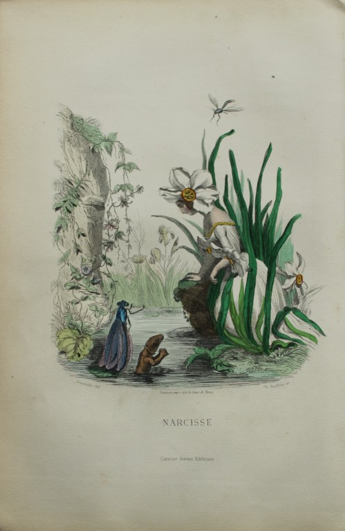 JJ Grandville - Lithograph of Les Fleurs Animees 1846