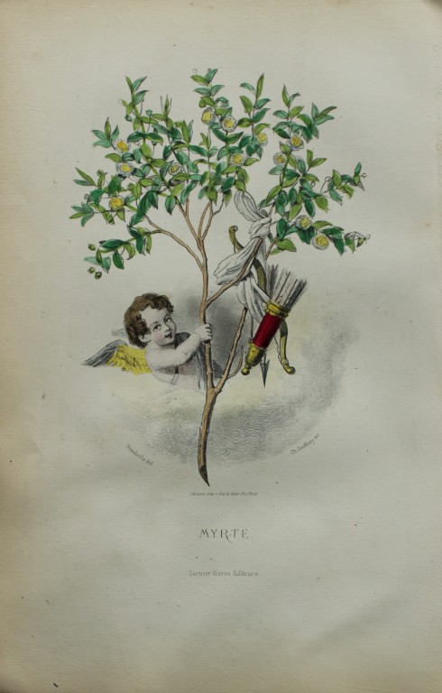 JJ Grandville - Lithograph of Les Fleurs Animees 1846