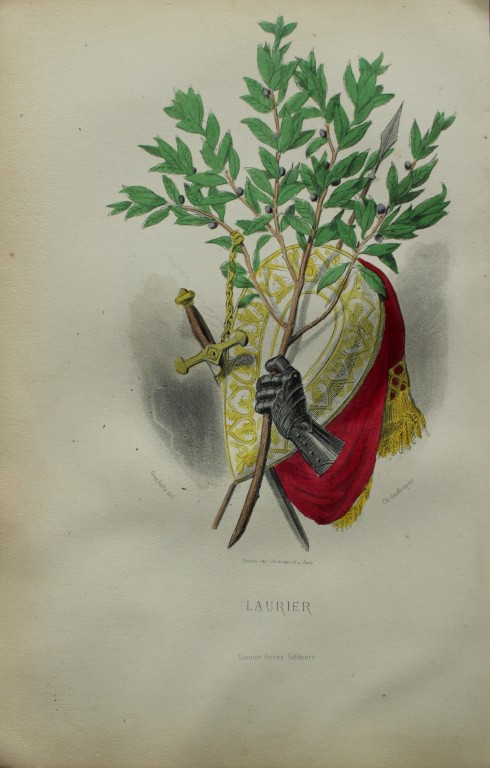 JJ Grandville - Lithograph of Les Fleurs Animees 1846
