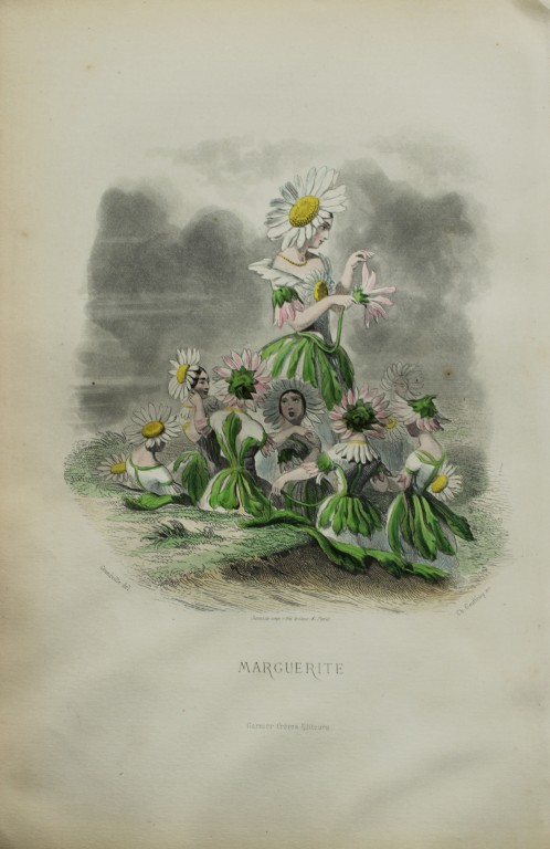 JJ Grandville - Lithograph of Les Fleurs Animees 1846