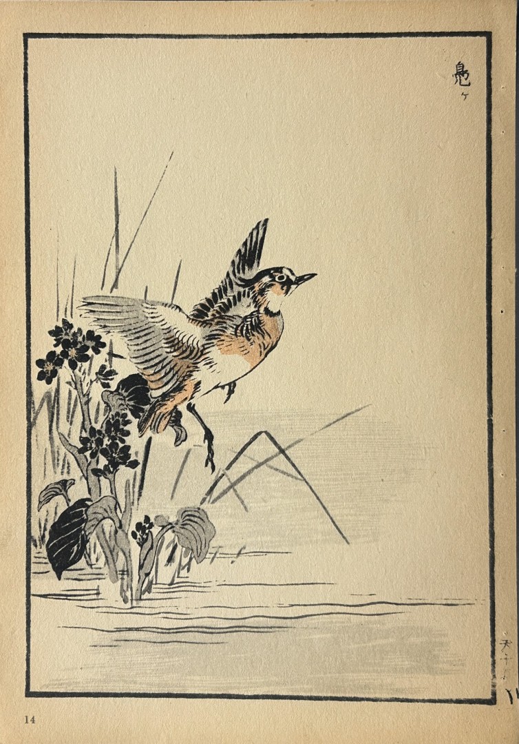 Kono Bairei - 2 Japanese woodblock prints of birds and flowers 1952