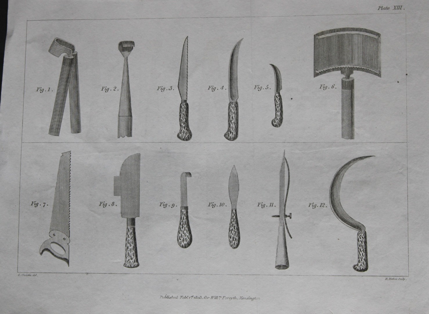 William Forsyth - Plate XIII on the pruning and training of fruit trees 1803