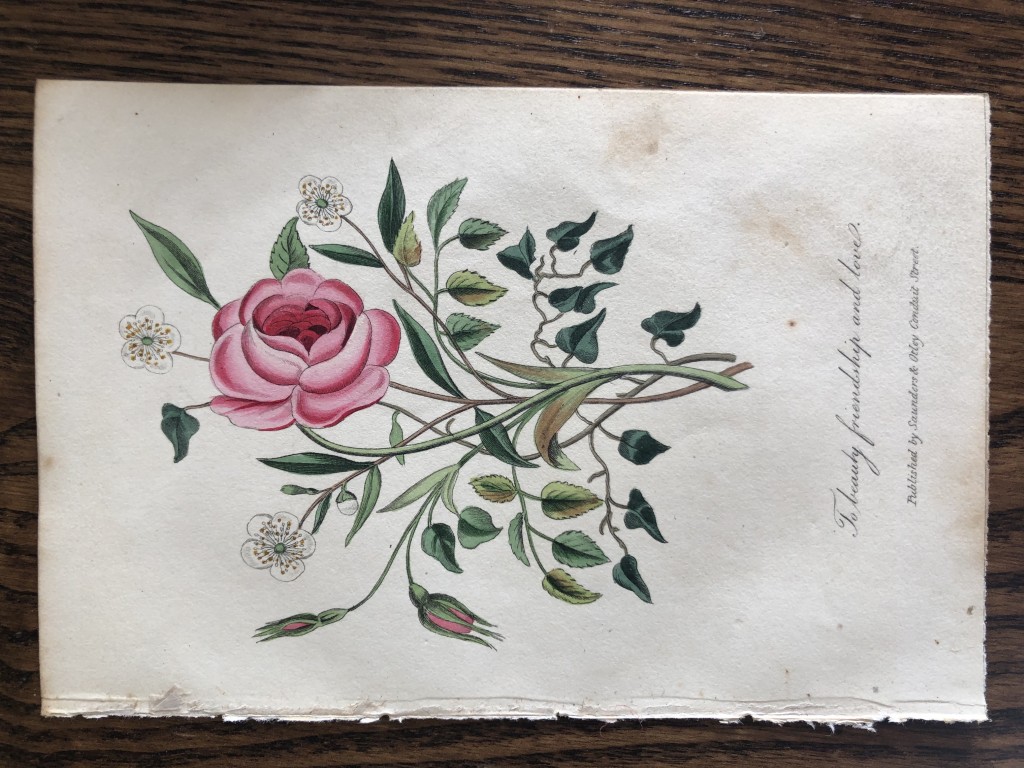 Frederic Shoberl - Engraving of the Rose 1841