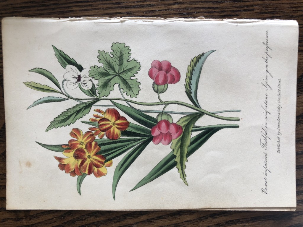 Frederic Shoberl - Engraving of the Wallflower 1841