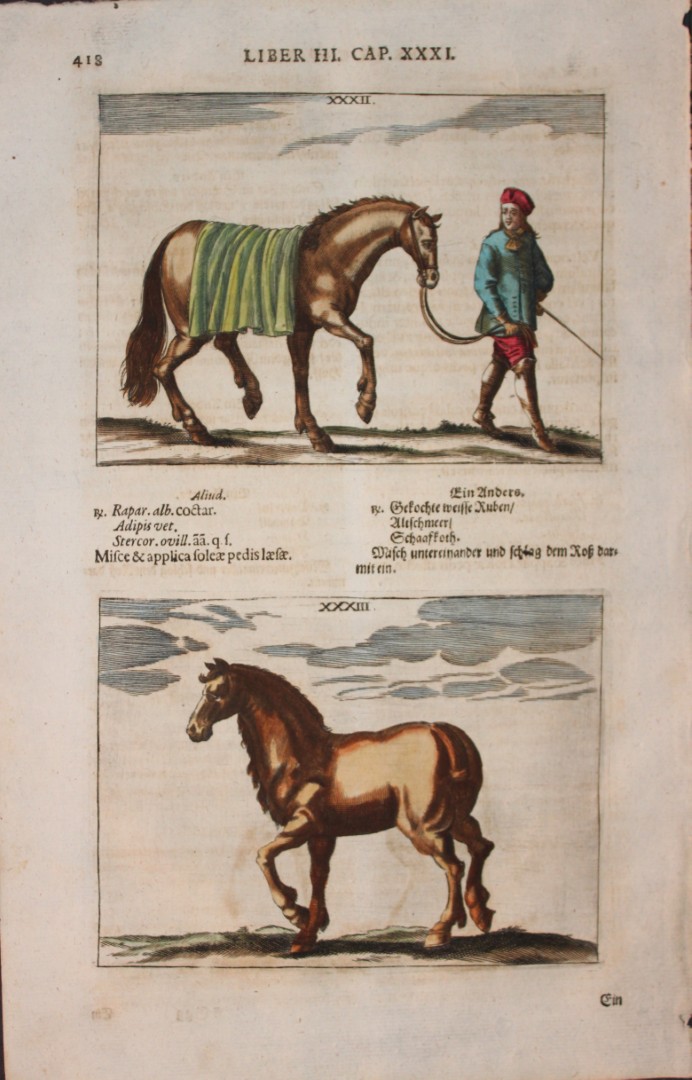 Georg Winter - Rare Bellerophon engraving of dressage training 1678