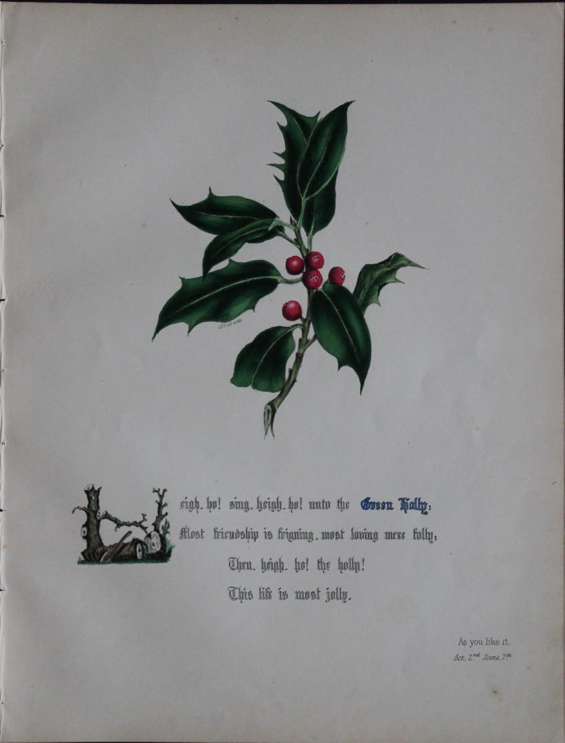 Jane E Giraud - Hand coloured print from Flowers of Shakespeare 1845