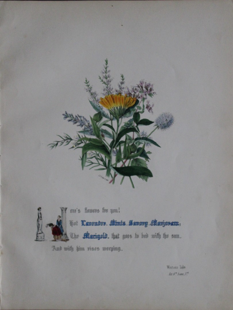 Jane E Giraud - Hand coloured print from Flowers of Shakespeare 1845