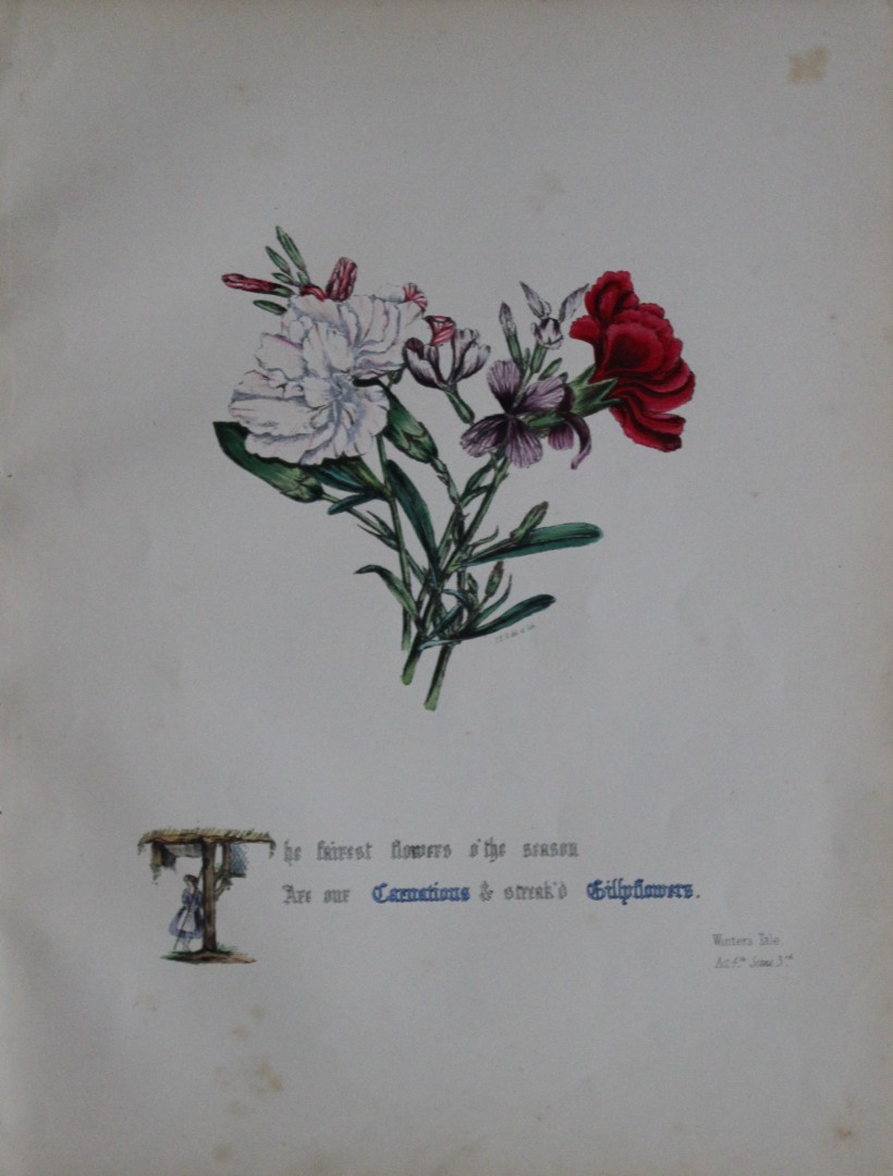 Jane E Giraud - Hand coloured print from Flowers of Shakespeare 1845