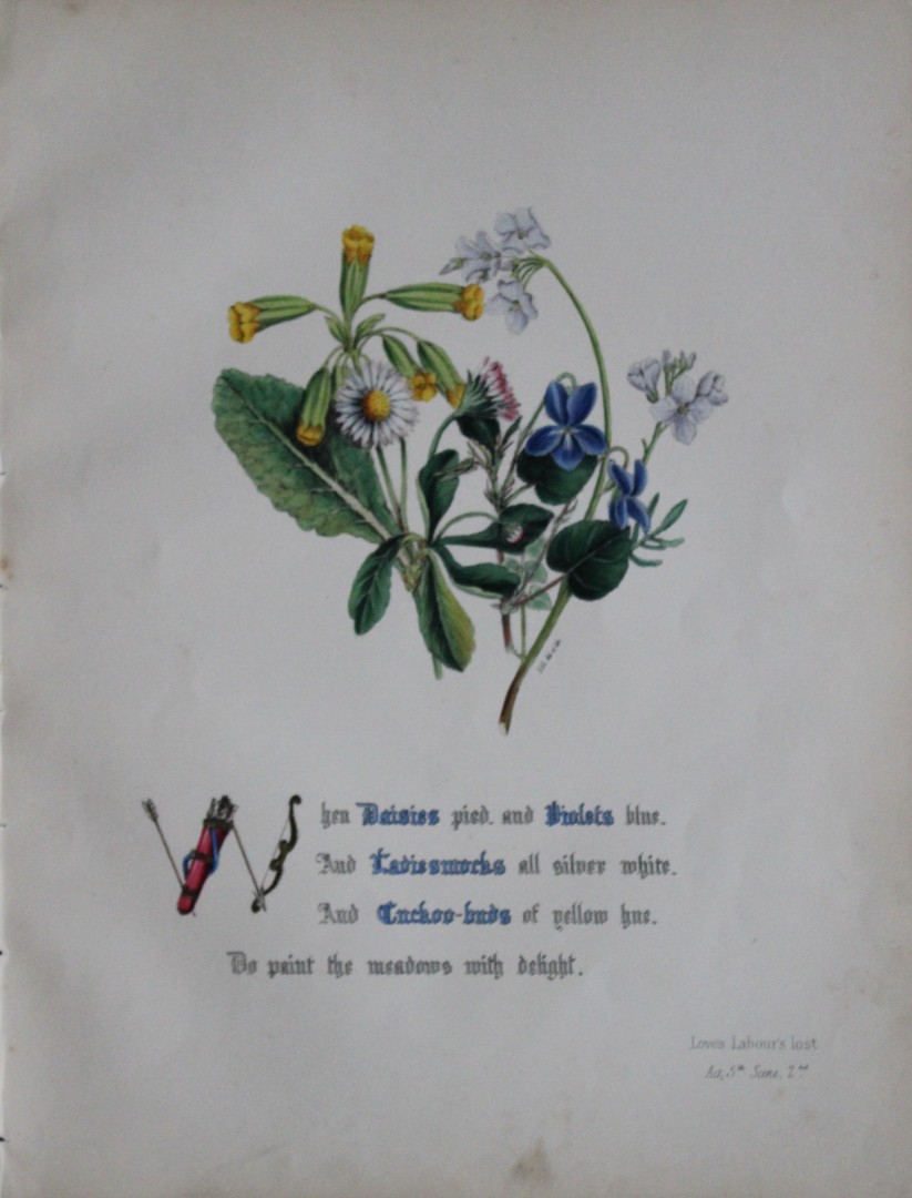 Jane E Giraud - Hand coloured print from Flowers of Shakespeare 1845