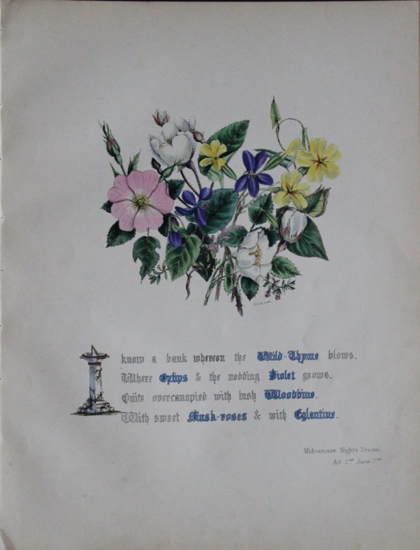 Jane E Giraud - Hand coloured print from Flowers of Shakespeare 1845