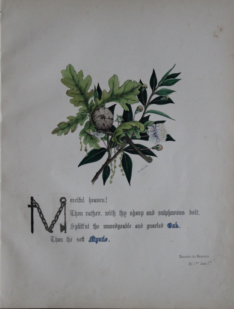 Jane E Giraud - Hand coloured print from Flowers of Shakespeare 1845