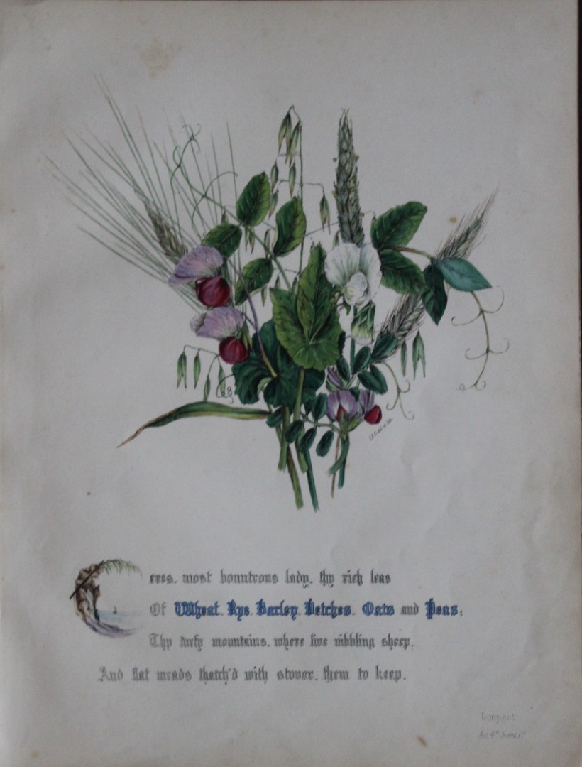 Jane E Giraud - Hand coloured print from Flowers of Shakespeare 1845
