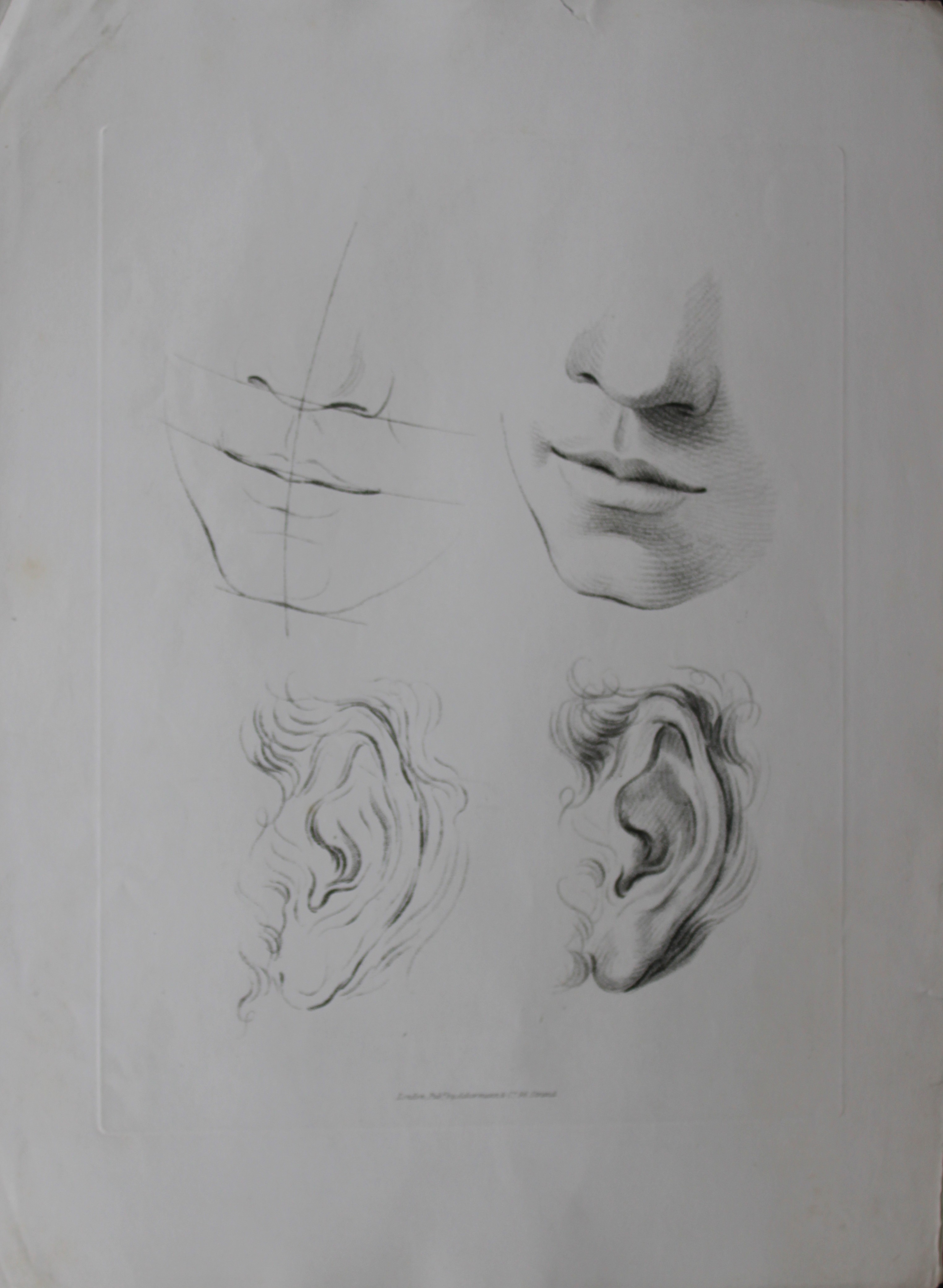 F Bartolozzi and GB Cipriani - Original engraving  1796