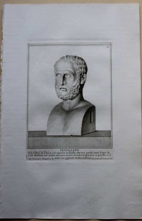 Giovanni Campiglia- Bust of Theophrastus by Silvestro Pomared 1741