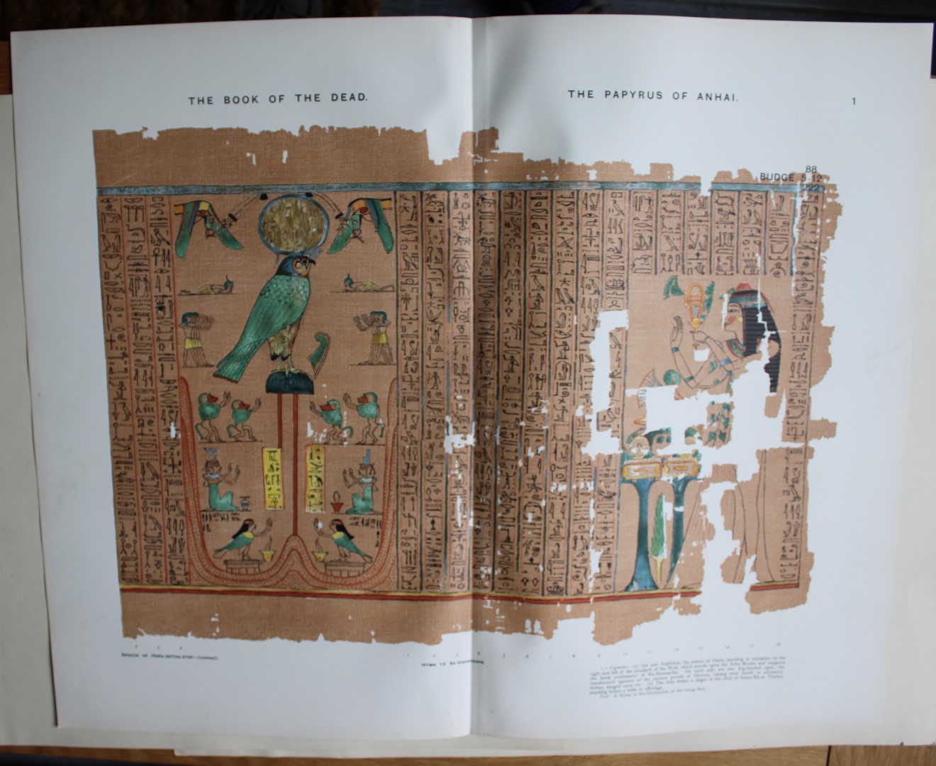 Papyrus of Anhai from the Book of the Dead 1899