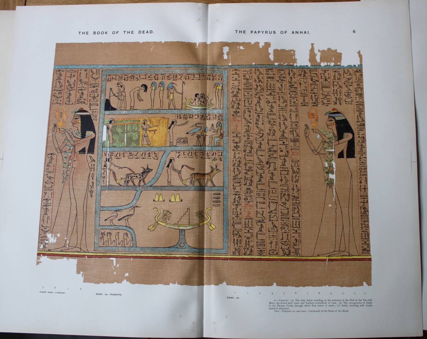 Papyrus of Anhai from the Book of the Dead 1899