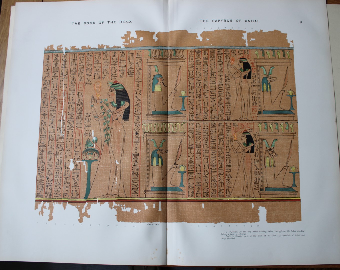Papyrus of Anhai from the Book of the Dead 1899