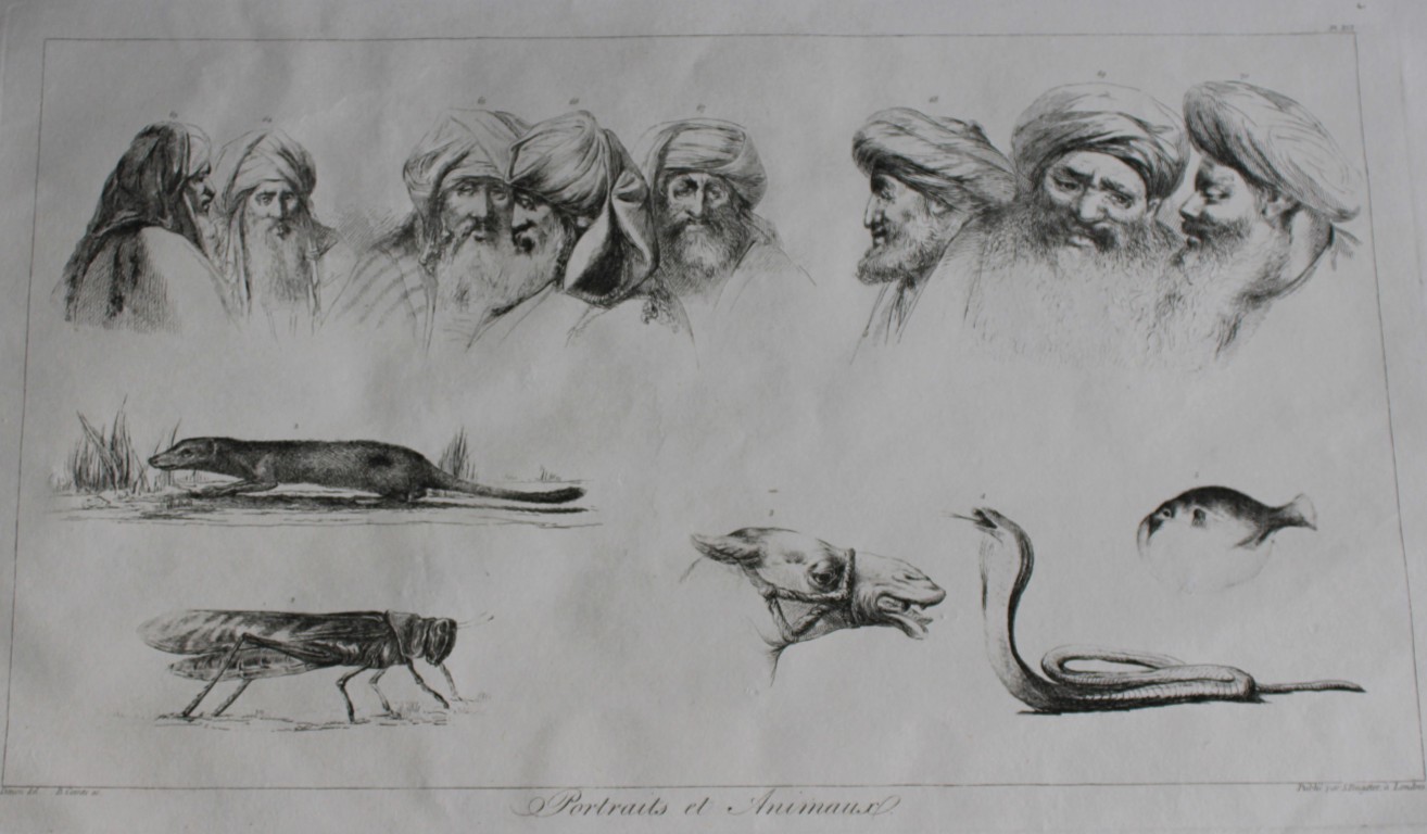 Portraits et Animaux by Vivant Denon 1807