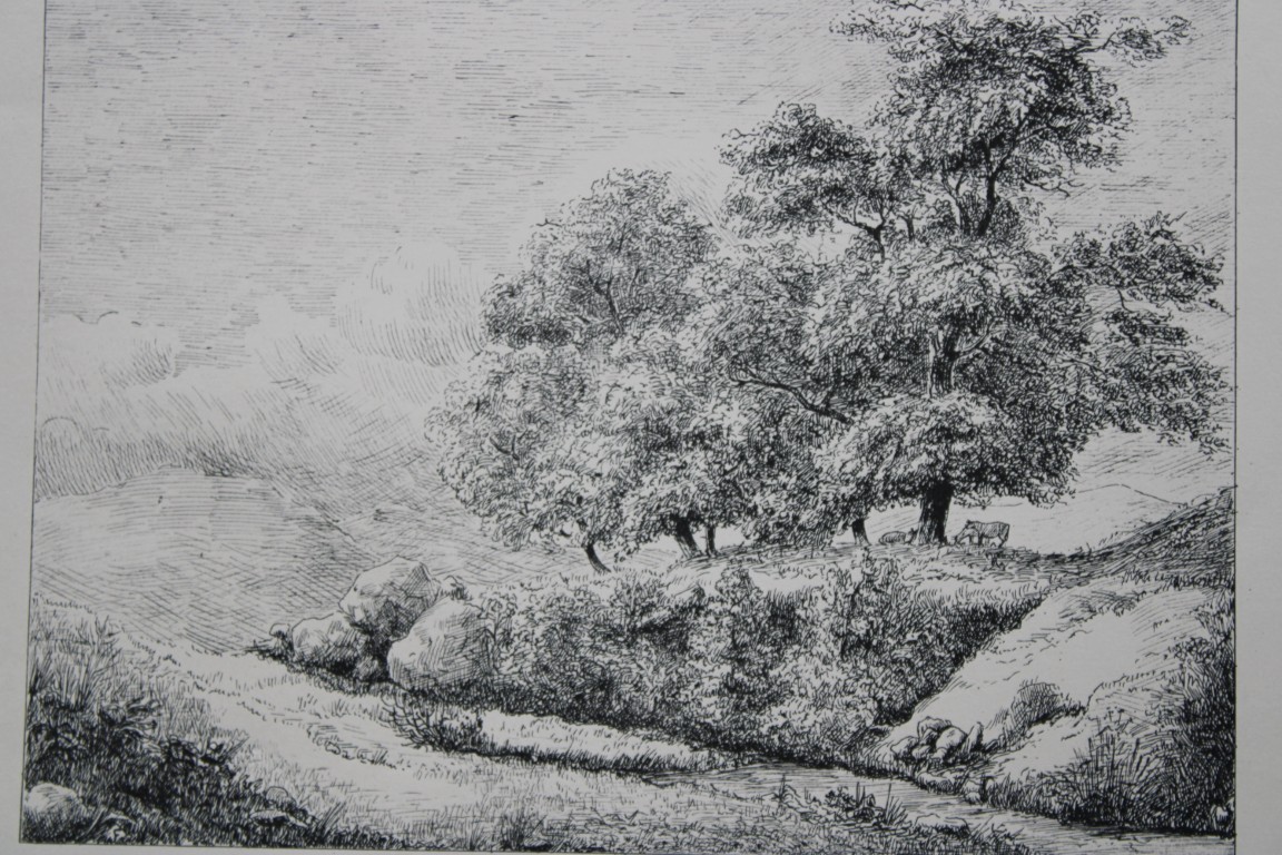 Bemrose - Ashover, Derbyshire 1868