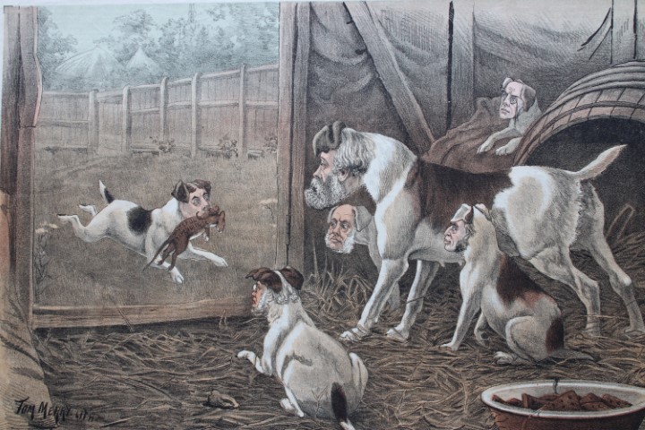 Tom Merry political cartoon - A credit to his family 1887