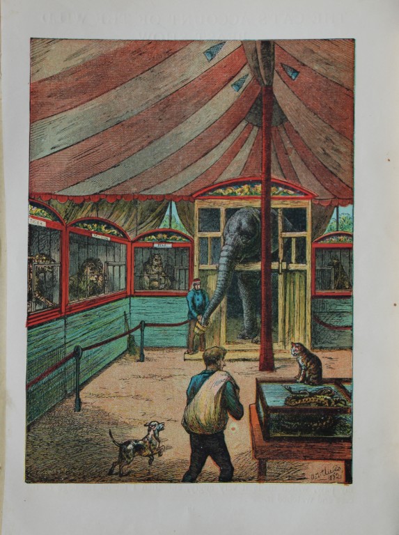 AT Elwes - An Enormous Creature 1884