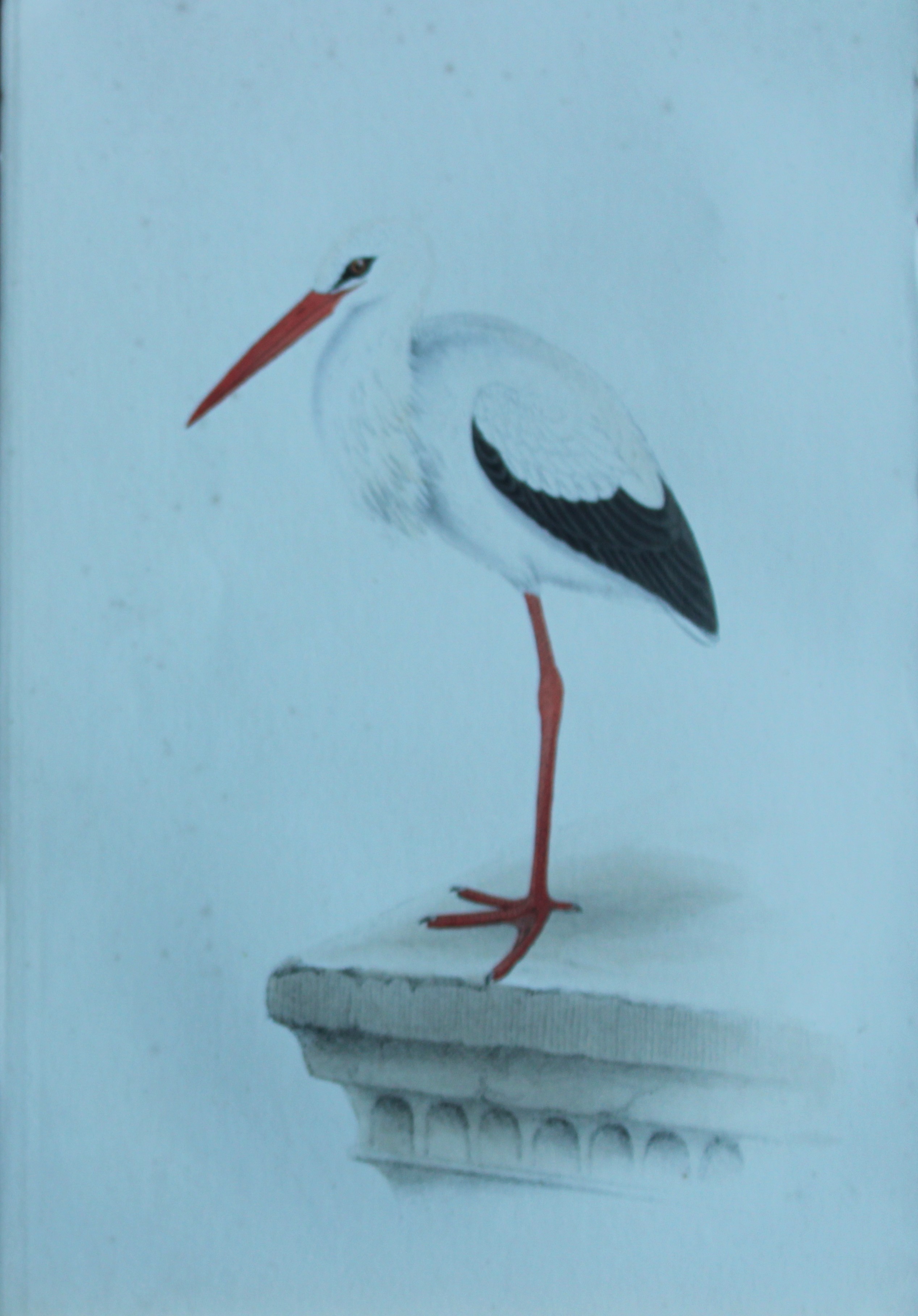 HL Meyer - Chromolithograph of Stork 1857